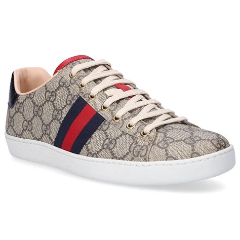 gucci low top sneaker.